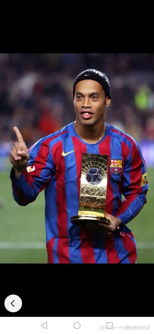 有成功的案 有成功的案